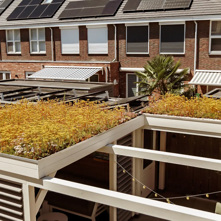 Moderne stadstuin met overdekte lounge en mediterrane beplanting