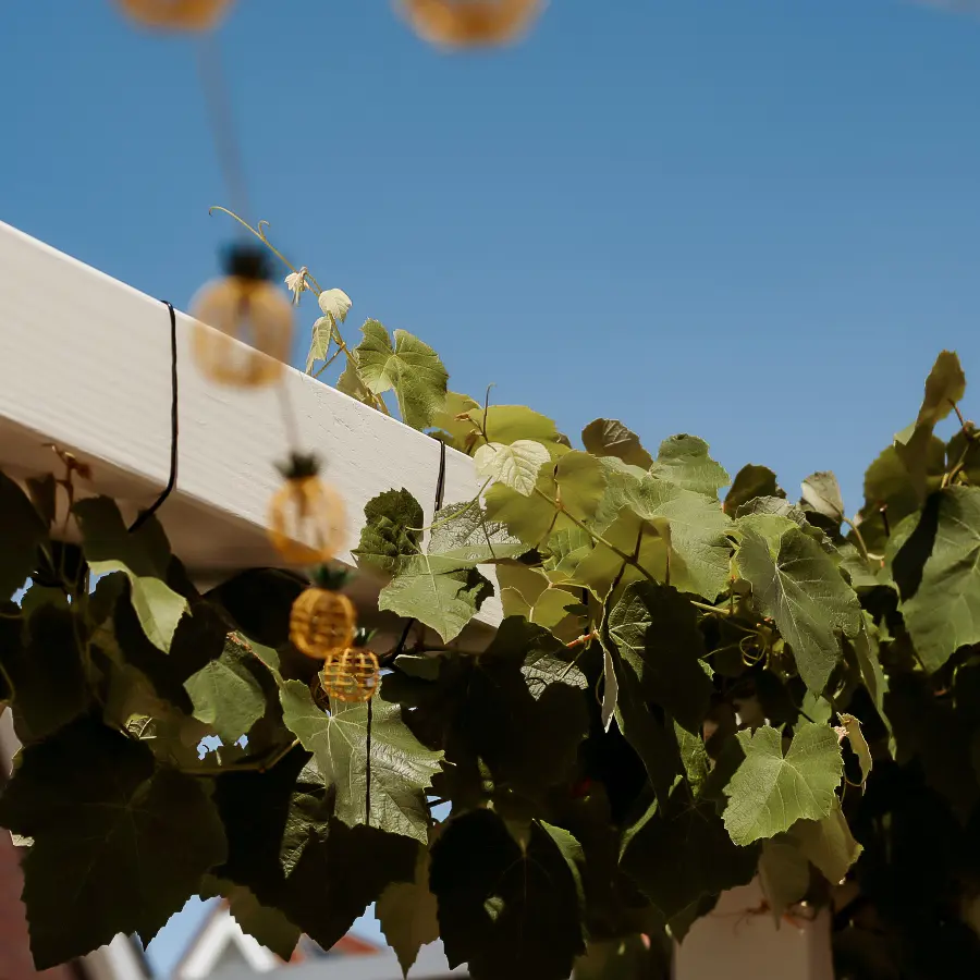Moderne stadstuin met overdekte lounge en mediterrane beplanting