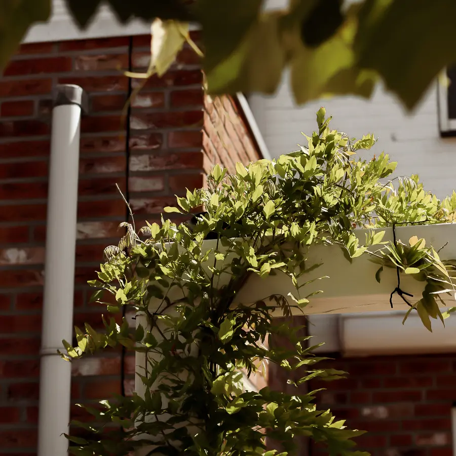 Moderne stadstuin met overdekte lounge en mediterrane beplanting