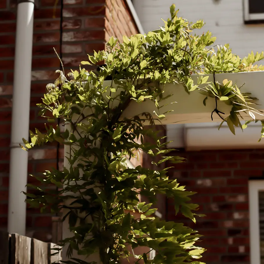 Moderne stadstuin met overdekte lounge en mediterrane beplanting