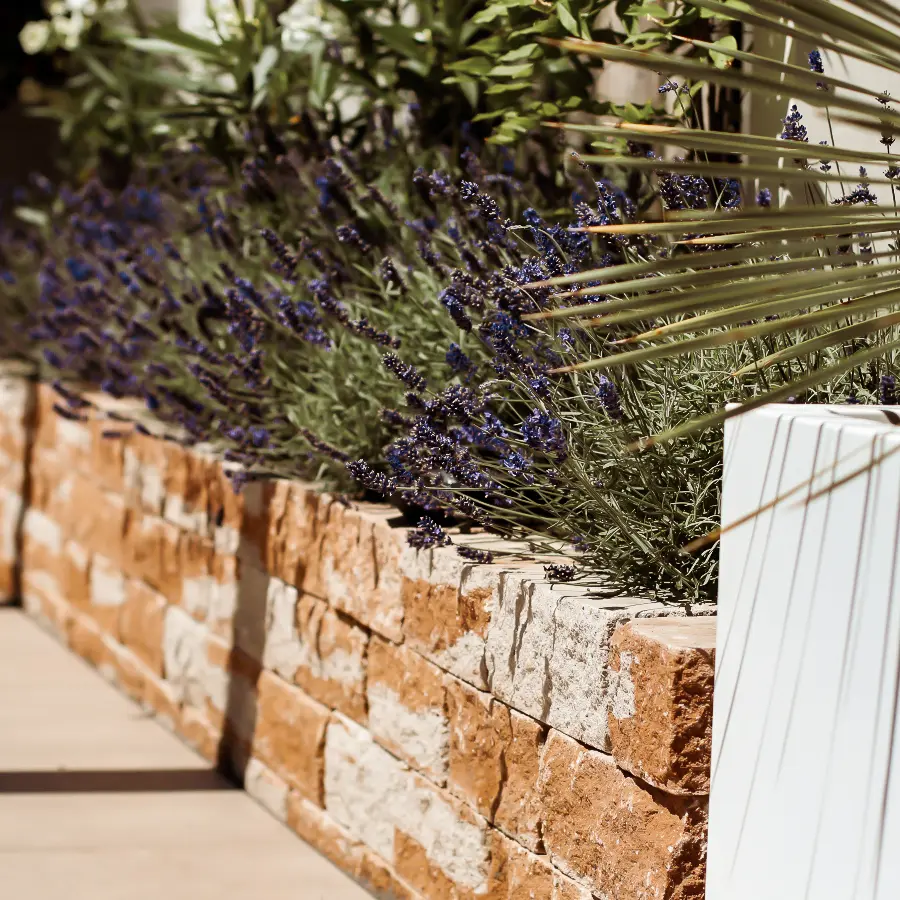 Moderne stadstuin met overdekte lounge en mediterrane beplanting