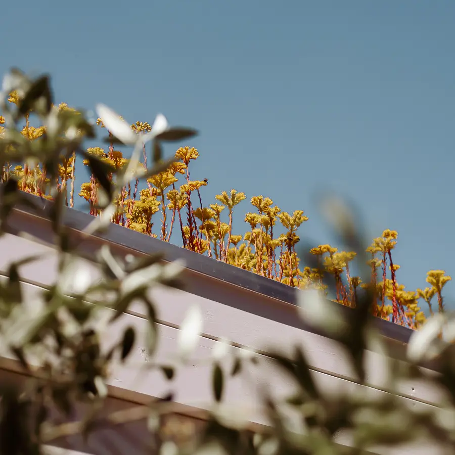 Moderne stadstuin met overdekte lounge en mediterrane beplanting