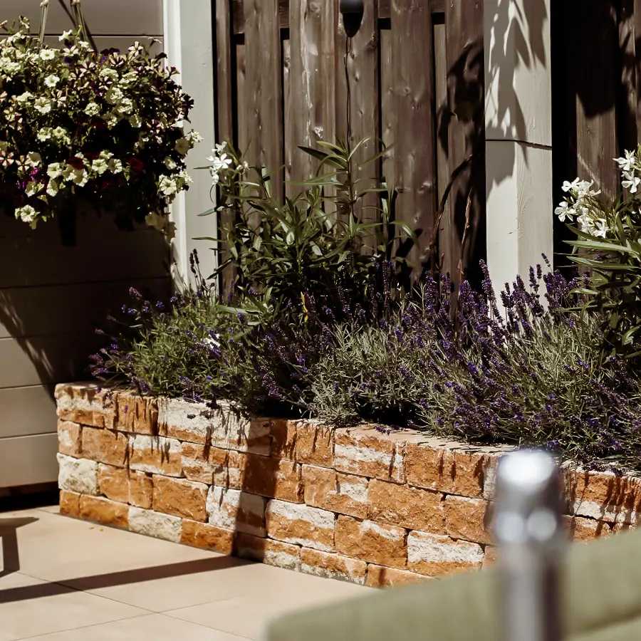 Moderne stadstuin met overdekte lounge en mediterrane beplanting