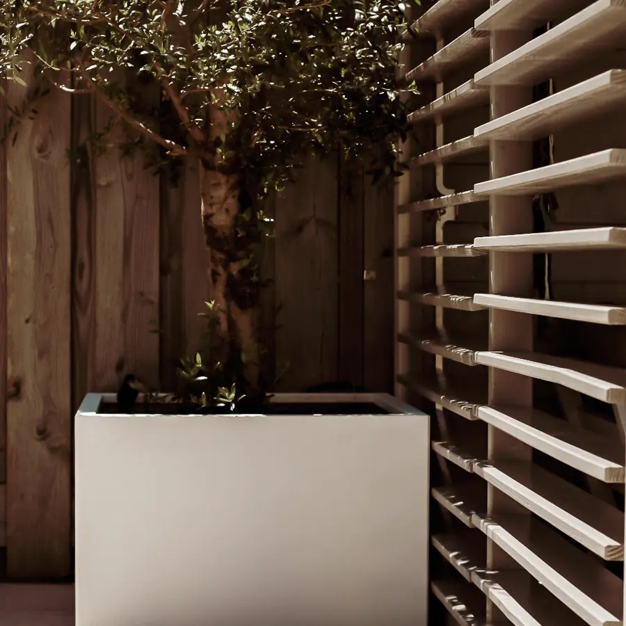 Moderne stadstuin met overdekte lounge en mediterrane beplanting