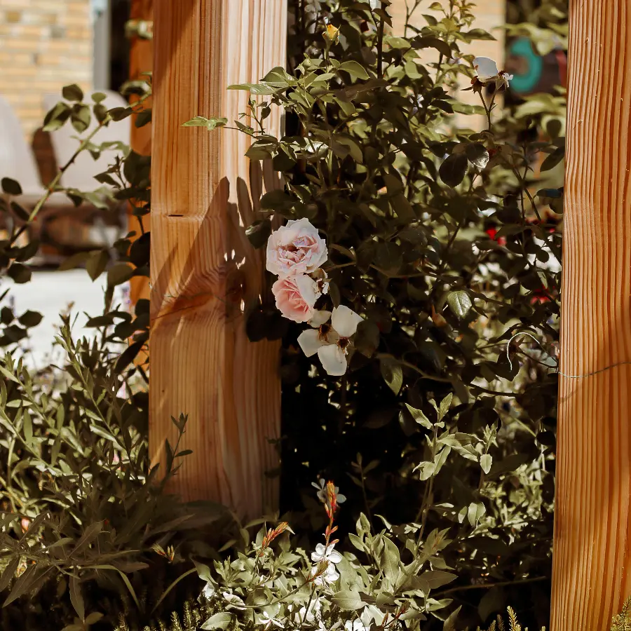 Modern landelijke tuin met Douglas overkapping en ruim gazon