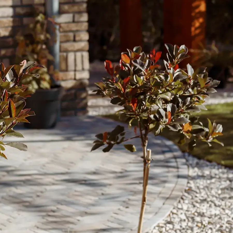 Strakke tuin met sfeervolle houten poortconstructie en buitenkeuken