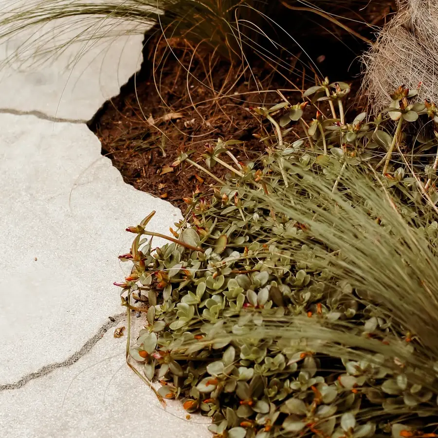 Mediterrane achtertuin met bioclimatische pergola en ligbedden