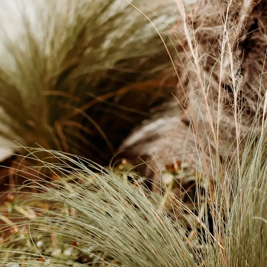 Mediterrane achtertuin met bioclimatische pergola en ligbedden