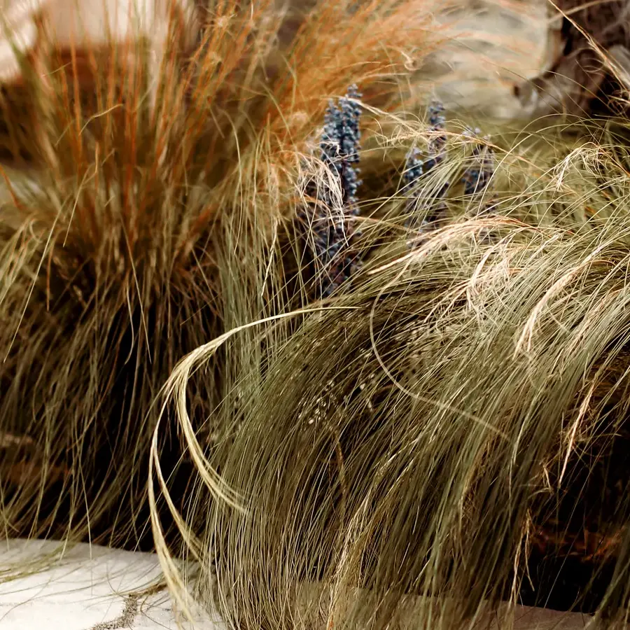 Mediterrane achtertuin met bioclimatische pergola en ligbedden