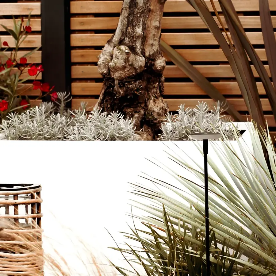 Mediterrane achtertuin met bioclimatische pergola en ligbedden