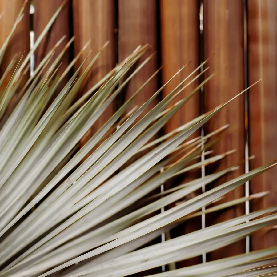 Mediterrane achtertuin met bioclimatische pergola en ligbedden