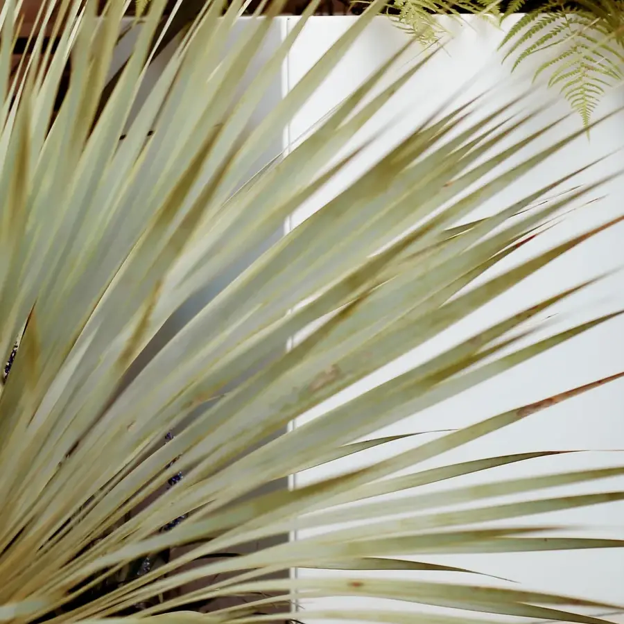 Mediterrane achtertuin met bioclimatische pergola en ligbedden