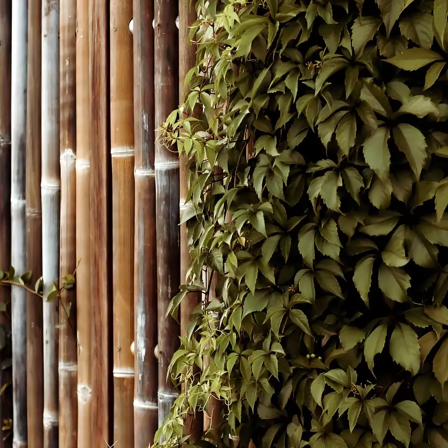 Mediterrane achtertuin met bioclimatische pergola en ligbedden