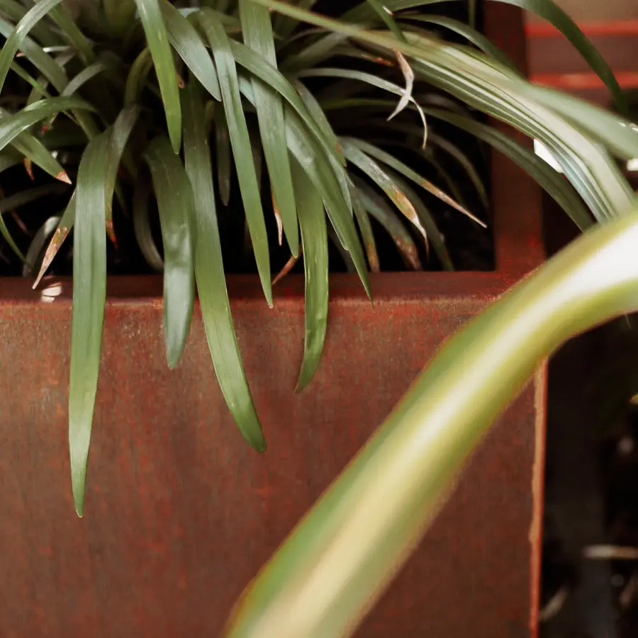 Compacte stadstuin met houten tuinhuis, pergola en mediterrane planten