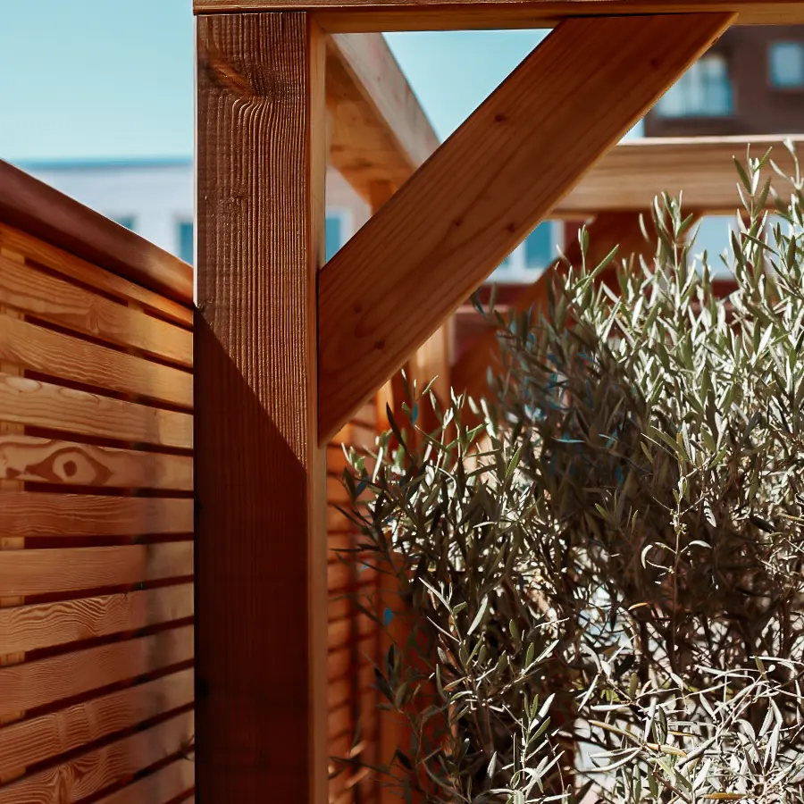 Compacte stadstuin met houten tuinhuis, pergola en mediterrane planten