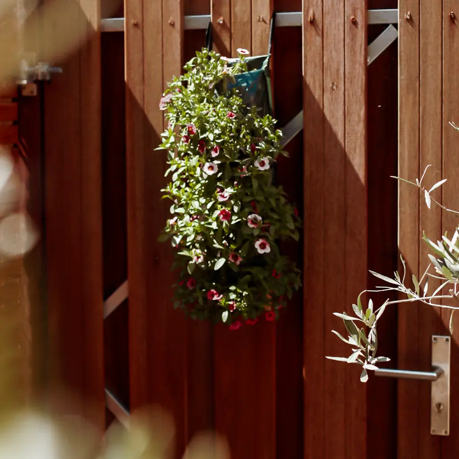 Compacte stadstuin met houten tuinhuis, pergola en mediterrane planten