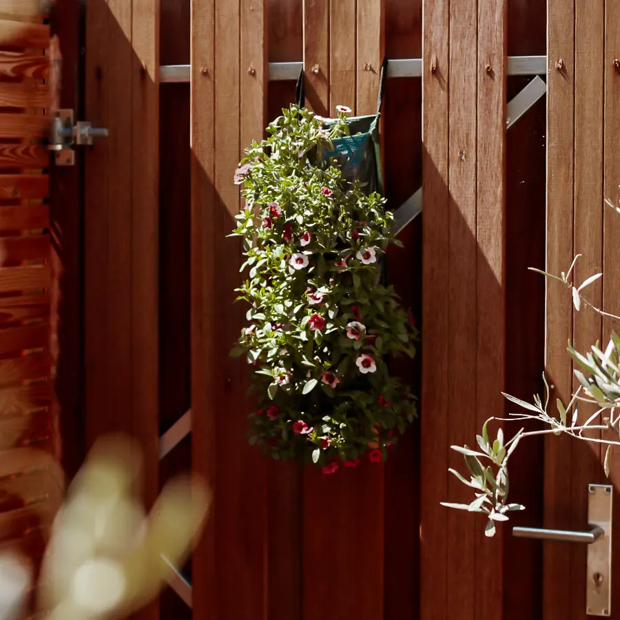 Compacte stadstuin met houten tuinhuis, pergola en mediterrane planten