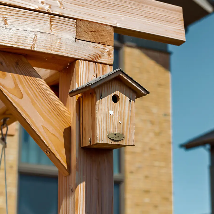 Modern landelijke tuin met Douglas overkapping en ruim gazon