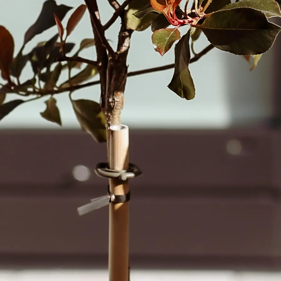 Strakke tuin met sfeervolle houten poortconstructie en buitenkeuken