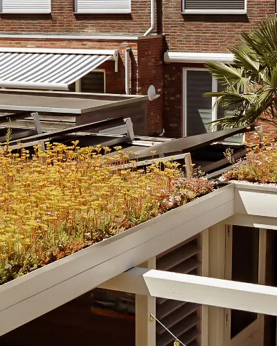 Moderne stadstuin met overdekte lounge en mediterrane beplanting