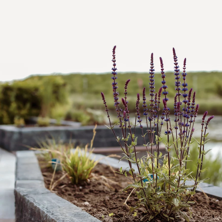 Tuin met buitenkeuken en vlonderterras aan het water