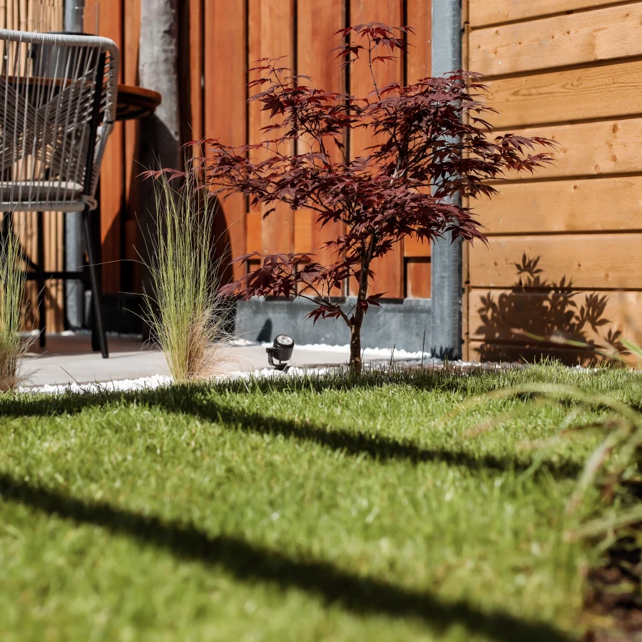 Kom tot rust in deze strakke achtertuin met rustieke pergola