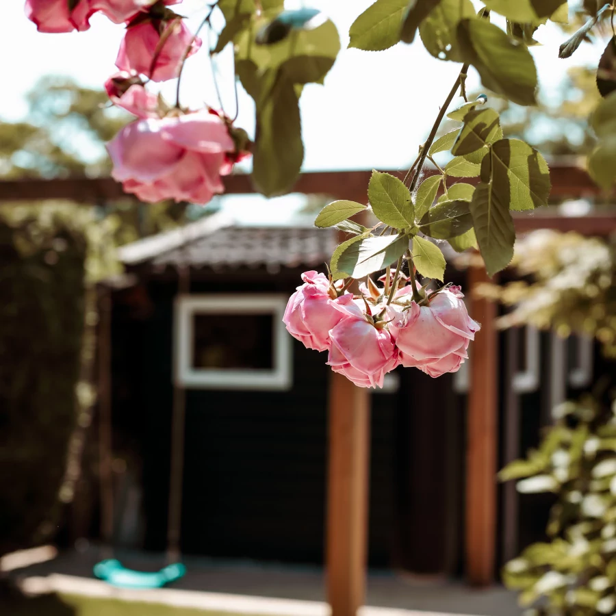 Kindvriendelijk ingerichte tuin met schommel, bokszak en trampoline