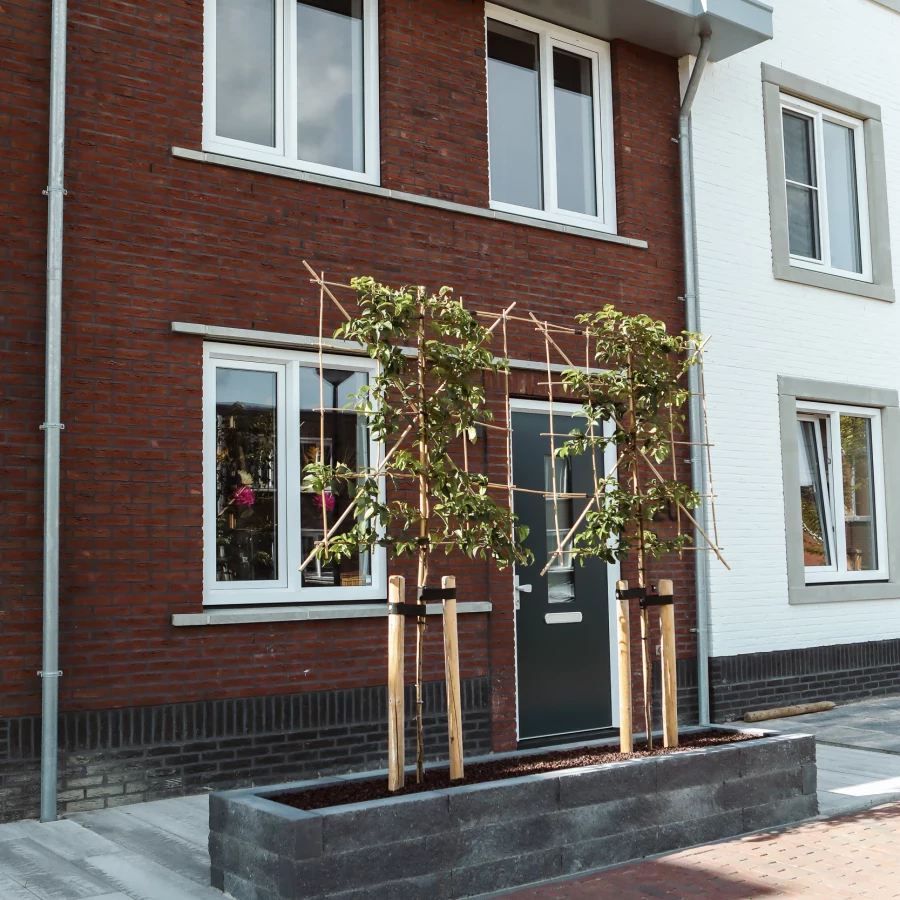 Kleine voortuin met bomen voor extra privacy en schaduw