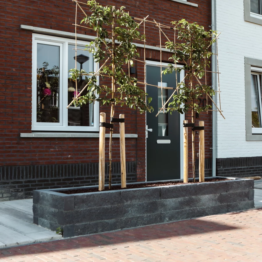 Kleine voortuin met bomen voor extra privacy en schaduw