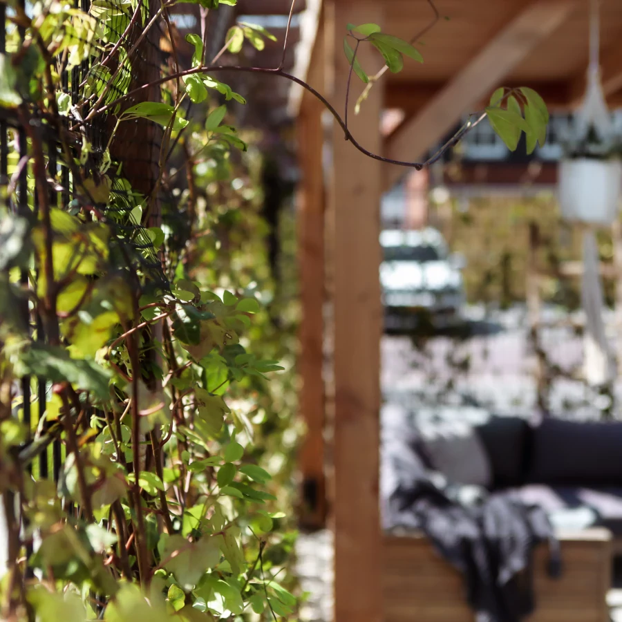 Vierkante tuin met overkapping en ingegraven trampoline