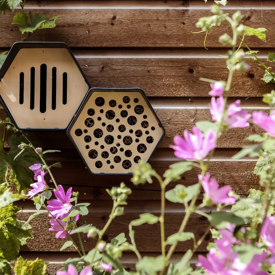 Compacte tuin met veel gezellige zitjes en veel groen