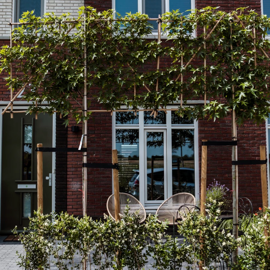 Voortuin met klein terras, gezellig zitje en groene haag